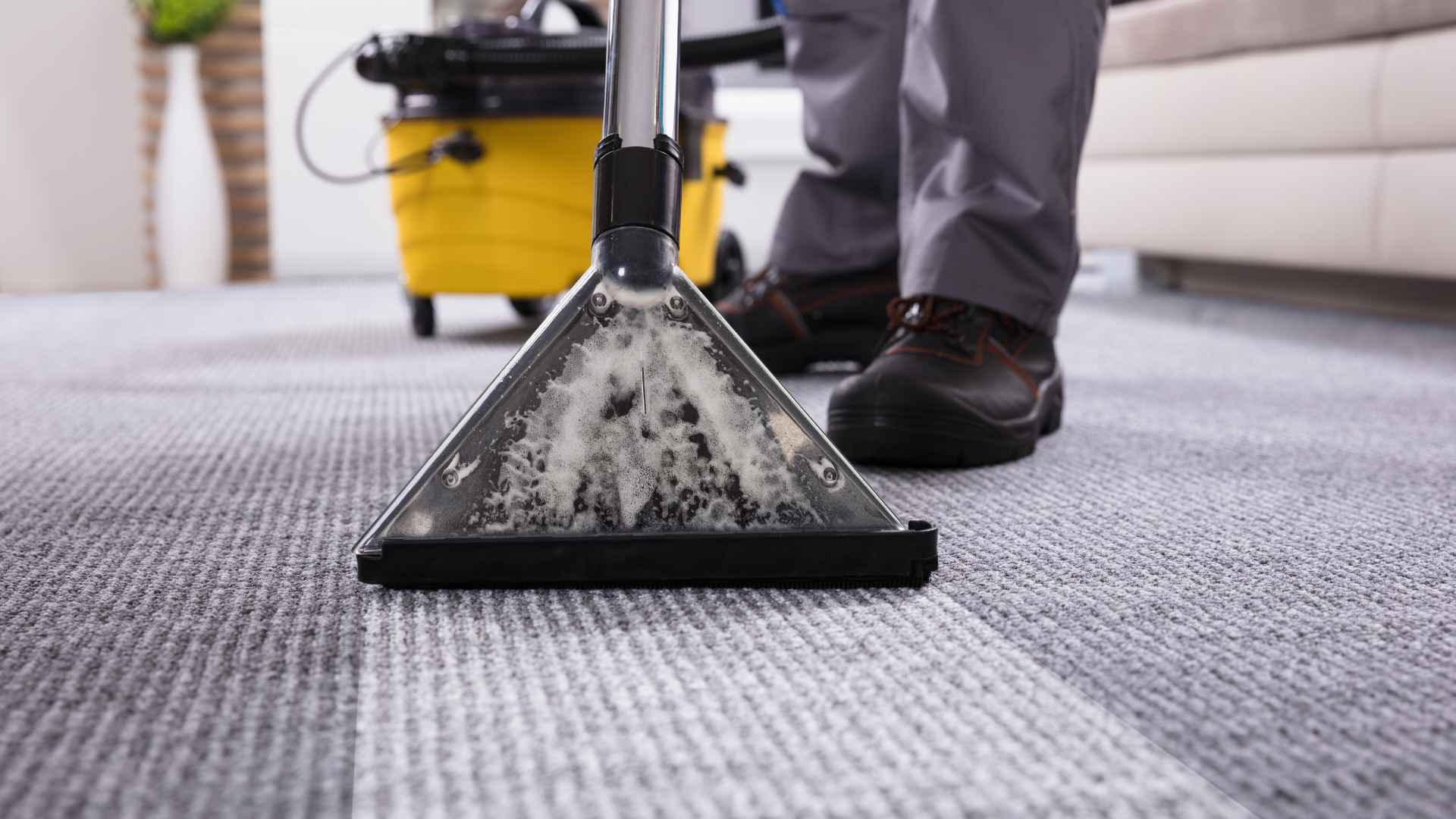 Commercial Carpet Cleaning Services in Brick NJ